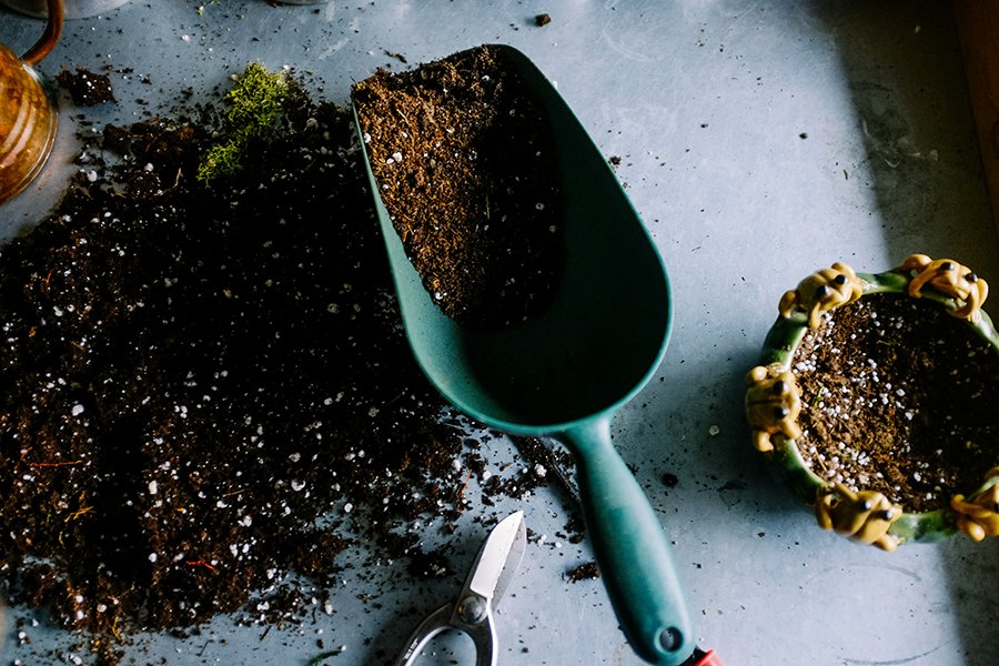Organic Fertilizers for Healthy Plant Growth
