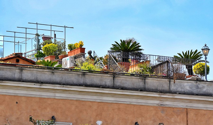 Terrace Gardening for Beginners: Complete Guide