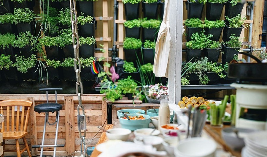 How to Start an Organic Kitchen Garden at Home