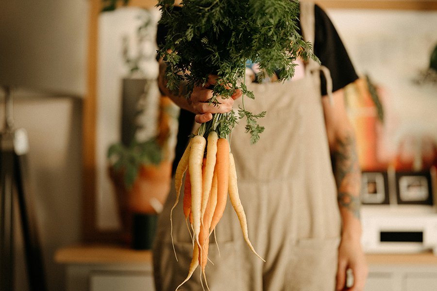 Best Vegetables for Beginners to Grow at Home