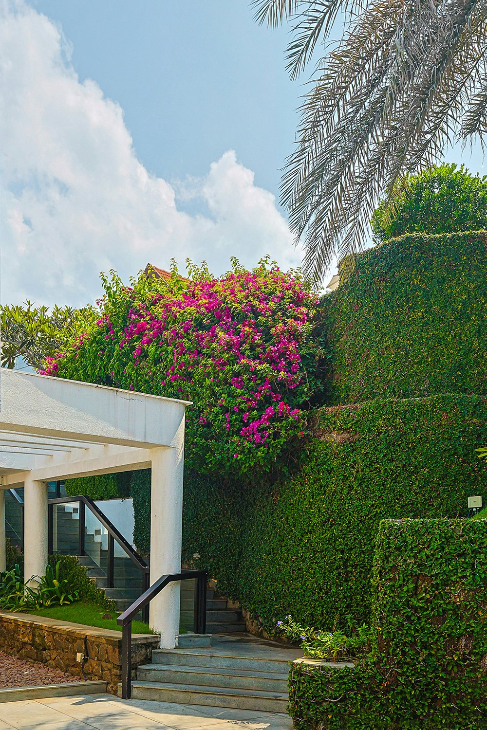 Landscaping