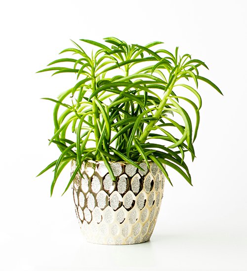 Ceramic White Round Pot